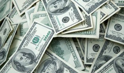 Sahte Doların Dolaşması Engelleniyor: Açıklamalar Yapıldı